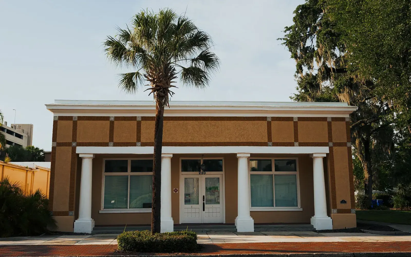 Pequeño edificio comercial con columnas blancas y una palmera al frente